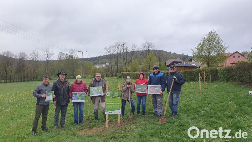 Bürgermeister Gerald Reiter (links) und etliche Helfer pflanzen die Bäume auf der Wiese nahe der Freizeitanlage beim Badeweiher. Bild: mmj