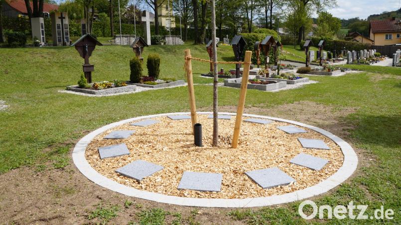 Mit dem Urnenbaumfeld, das für zwölf Urnengräber vorgesehen ist, und den seit bereits zehn Jahre bestehenden Urnenstelen (links im Hintergrund) ist der Friedhof für die Zukunft gut ausgestattet Bild: wel