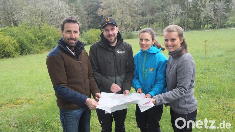 Sie haben den Wolf im Veldensteiner Forst und weit darüber hinaus immer im Blick: Wildtiermanager Jochen Grab, Revierförster Sebastian Bäumler sowie die Wildtiermanagerinnen Lydia Grimm und Ronja Schlosser (von links). Bild: kek