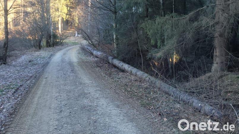 Die Anlieger wurden bereits zweimal aufgefordert, den Weg von Ästen, Bäumen und Holzmaterial zu säubern. Bild: fla