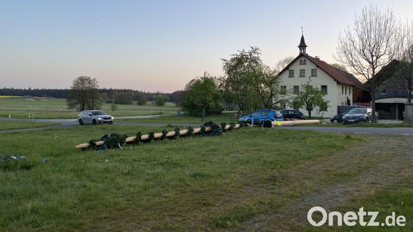 Unbekannte haben den Maibaum bei Falkenberg in der Nacht von Dienstag auf Mittwoch umgesägt. Bild: Polizei Tirschenreuth
