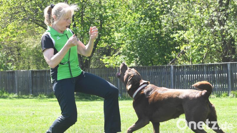 Hundetrainerin Gertraud Lippert war 2023 Deutsche Meisterin ihrer Altersklasse. Ihre Partnerin ist die siebenjährige Hündin Ellie. Bild: Gabi Schönberger