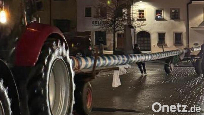 Der Störnsteiner KLJB war es gelungen, den Weidener Maibaum zu klauen. Bild: exb