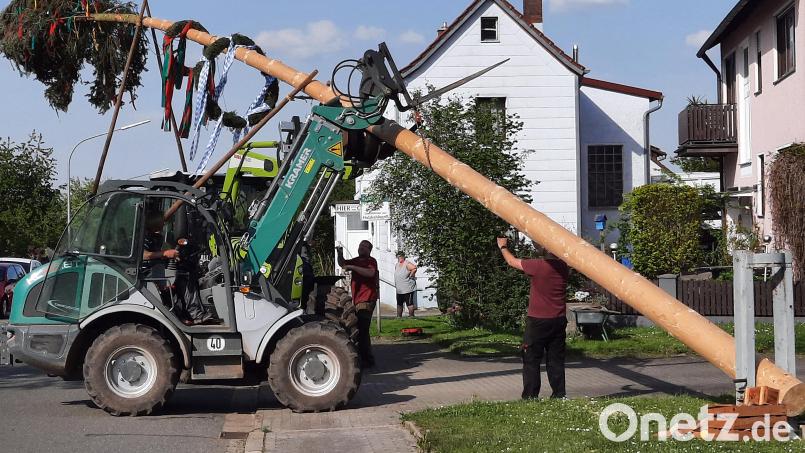 Mit einem Traktor sichern Mitglieder den Maibaum, mit acht Schwalben hoben Männer den Baum in die Höhe, der nun zum 60-jährigen Jubiläum auf der Dorfwiese stehen bleibt. Bild: R. Kreuzer
