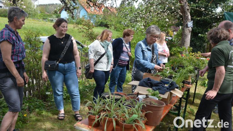 Tradition hat die Pflanzenbörse zur Saisoneröffnung des Resl-Garten-Saison. Bild: jr