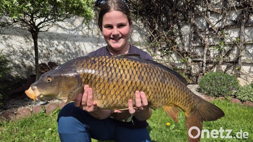 7,5 Kilogramm wiegt dieser Karpfen, den Leonie Siebert an Land zog. Bild: Jennifer König/exb