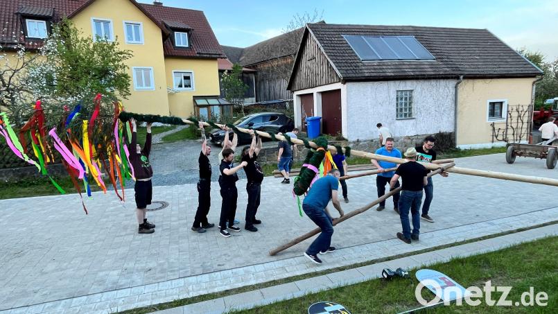 Beim Aufstellen ist Muskelkraft gefragt: Die Obersdorfer hieven den Maibaum in die Höhe. Bild: ils