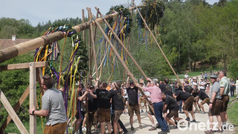 Im Freilandmuseum in Neusath wird am 1. Mai der 28 Meter hohe Baum in die Höhe gehievt. Bild: Hirsch