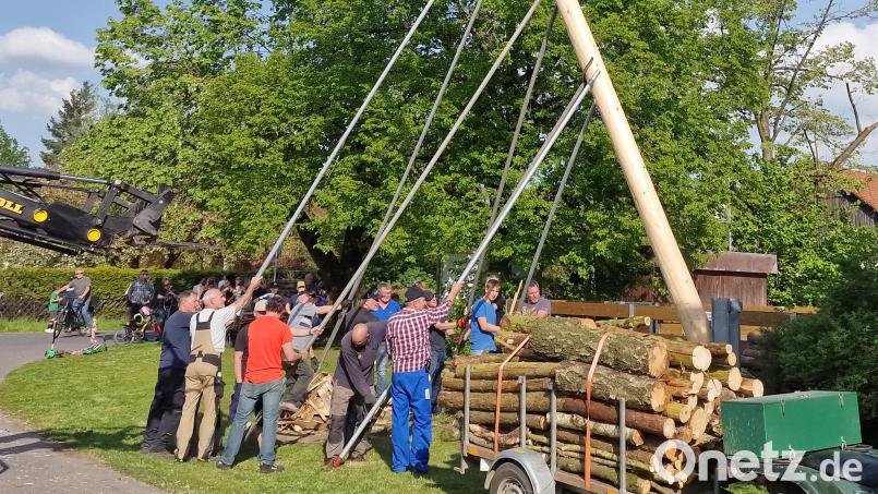 Hand in Hand arbeiten die Männer der Dorfgemeinschaft Frauenricht und hieven den Maibaum mit Schwalben in die Höhe. Bild: R. Kreuzer