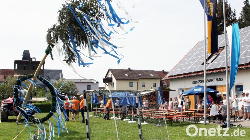 Auch die Flosser Siedler feiern den Start in den Monat Mai mit dem Aufstellen eines Maibaumes. Bild: lst/exb