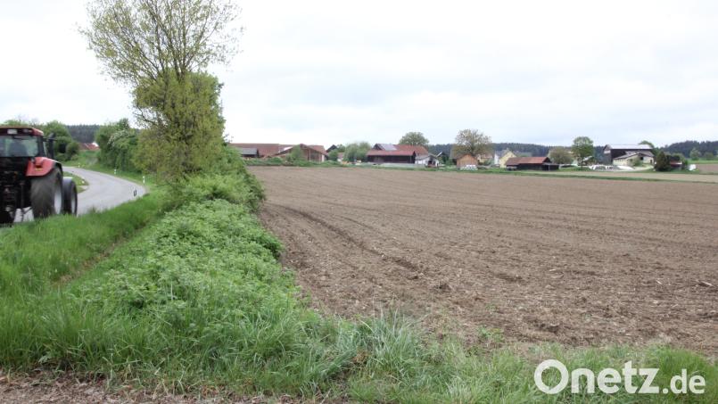 Diese Fläche, rechts vor dem Ortseingang von Rottendorf, soll das zum „Gewerbegebiet Rottendorf“ werden. Bild: frd