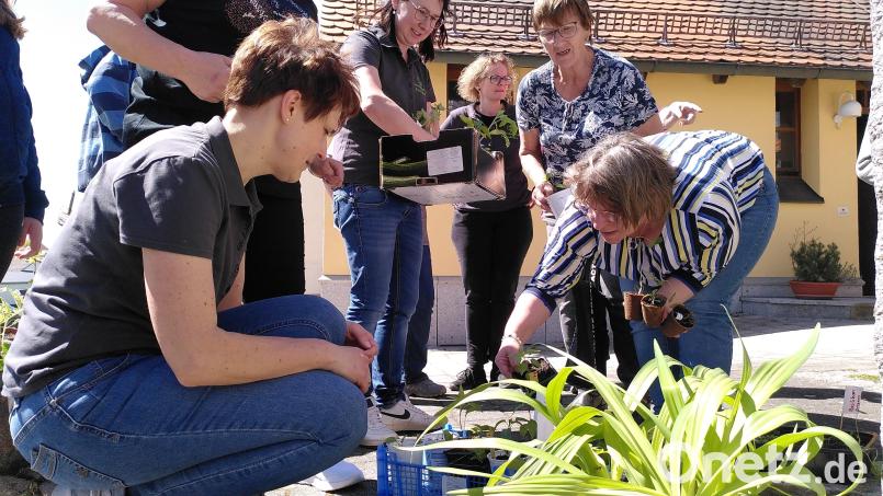 Die Pflanzerltauschbörse ist ein allseits beliebter Termin des Vereins im Frühling und der Grund, warum es den Gartenbauverein noch gibt. Bild: Brandl, Jasmin [jag]