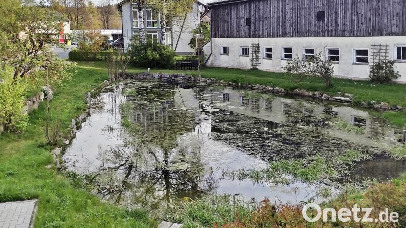Die aktuelle Lage: Der Löschteich in Fuhrmannsreuth hat wieder Wasser. Bild: Achim Scherm / exb.