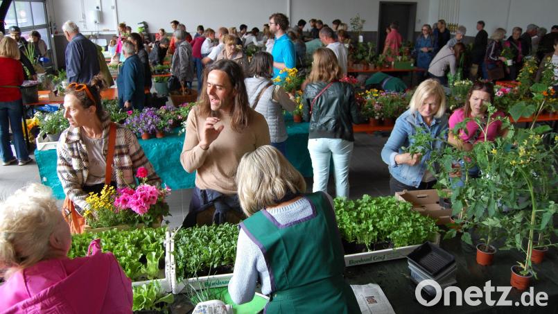 Zahlreiche Gartenfreunde wollen sich die Schmuckstücke bei der 23. Pflanzenbörse der Siedlergemeinschaft Irchenrieth ansehen. Bild: grm