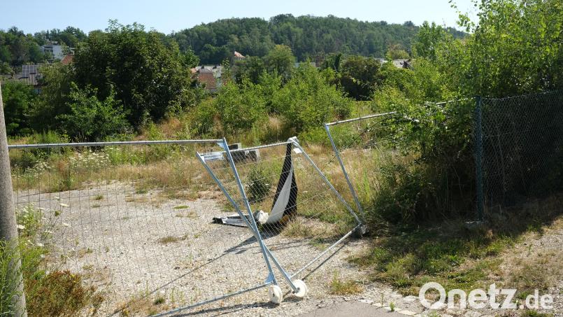 Auf dieser Brache des ehemaligen Tonwarenfabrikgeländes in Schwandorf sollen 92 geförderte Sozialwohnungen entstehen. Der Stadtrat gab nach anfänglichen Bedenken nun grünes Licht. Bild: Hirsch