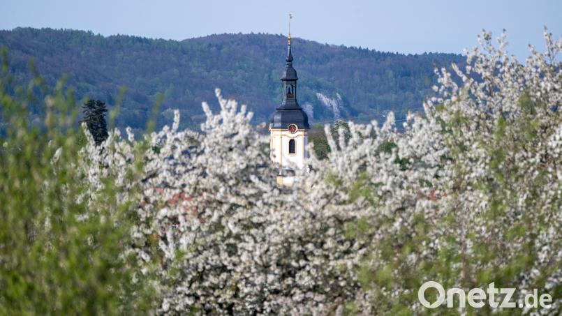 Die neue Woche startet mit oft freundlichem Wetter, vor allem am Montag und Dienstag. Dann liegen die Temperaturen oft zwischen 20 und 25 Grad. Bild: Pia Bayer