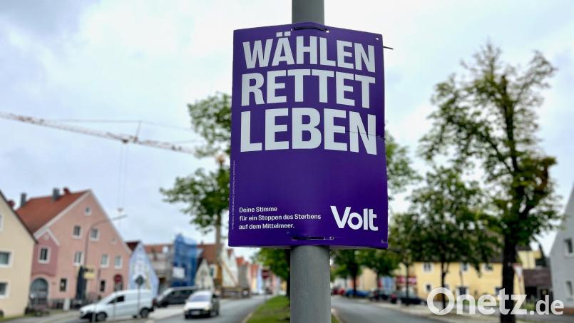 Noch hängt nur vereinzelt Parteienwerbung zur Europawahl in Neustadt. Damit sie nicht überhand nimmt, hat der Stadtrat die Plakatierungsverordnung überarbeitet. Bild: Gabi Schönberger