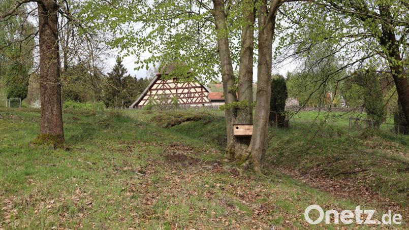 Auch im Freilandmuseum Oberpfalz wurden Nistkästen für den Wiedehopf aufgehängt. Bild: Bettina Kraus, Freilandmuseum Oberpfalz/exb