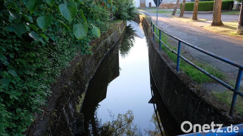 Der Biberbach kann in Oberbibrach auch als reißende Sturzflut daherkommen, wie das Hochwasser vor einigen Jahren zeigte. Archivbild: do
