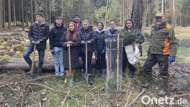 Unter fachlicher Anleitung von Günter Grabs (rechts) pflanzen die ATU-Azubis rund 100 Bäume und leisten einen aktiven Beitrag zum Naturschutz. Bild: Tanja Reichl/exb