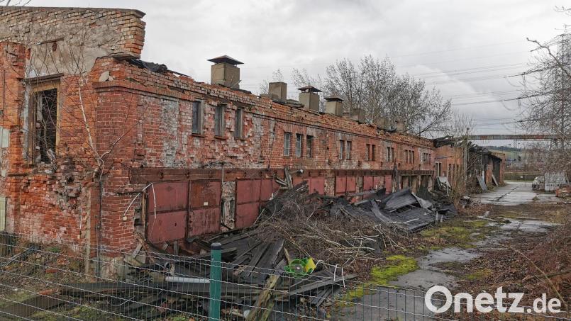 Die ausgebrannte Halle in Zschachwitz. Bild: Sven Gerstner-Nitschke /exb