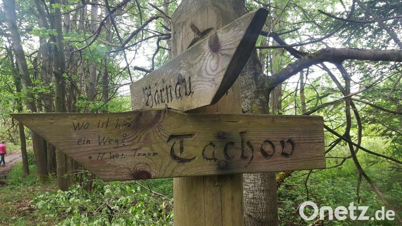 Wie ein Kreuz steht der Wegweiser im deutsch-tschechischen Grenzgebiet. Es könnte auch an die vielen Menschen erinnern, die hier auf der Flucht getötet wurden. Archivbild: Tanja Fichtner