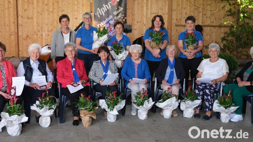 Der Katholische Frauenbund Wölsendorf ehrte seine Gründungsmitglieder. Sitzend von links: Resi Weigl, Franziska Pösl, Emmi Wilhelm, Erika Lacher, Gertrud Paa, Monika Pflamminger, Sieglinde Baumer und Rita Hösl. Stehend von links: Rita Kleierl, Heidi Leitl, Christa Pflamminger, Barbara Ebensberger und Simone Weist. Bild: Hirsch