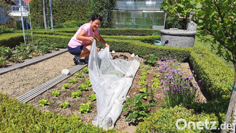 Die Eisheiligen fallen 2024 aus. Heidi Albang geht aber auf Nummer sicher und nimmt das Vlies vom Salatbeet im Niesaßer Garten erst Mitte Mai ab. Bild: Portner