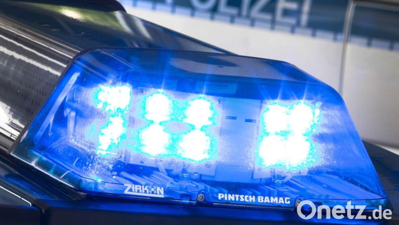 Die Polizei bittet um Hinweise auf eine Hundehalterin, deren Tier eine Vierjährige derart angesprungen hat, dass sie zu Boden stürzte und bewusstlos wurde. Symbolbild: Friso Gentsch/dpa