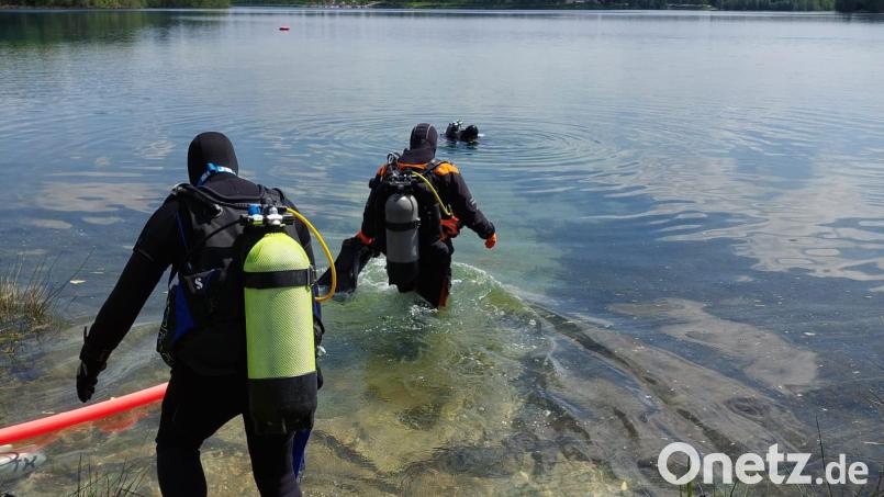 Die aktiven Taucher beim Einstieg in den Murner See. Bild: Thomas Neufeld/exb