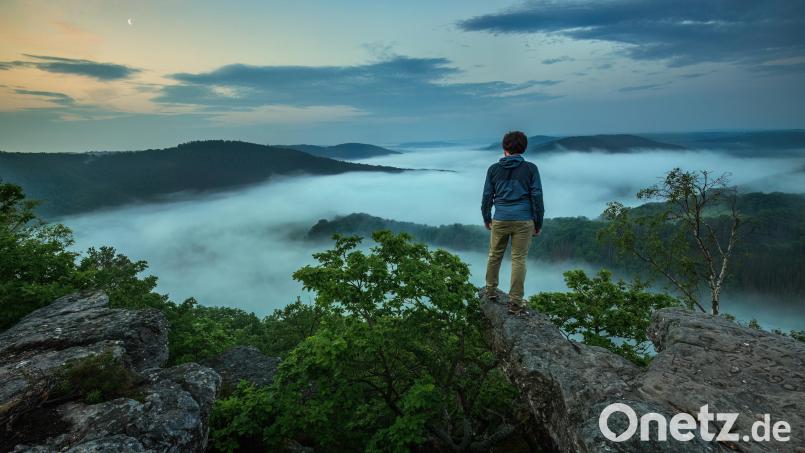 Schönberger - &quot;Mister Fogpants&quot; - als Wanderer über dem Nebelmeer Bild: Kilian Schönberger
