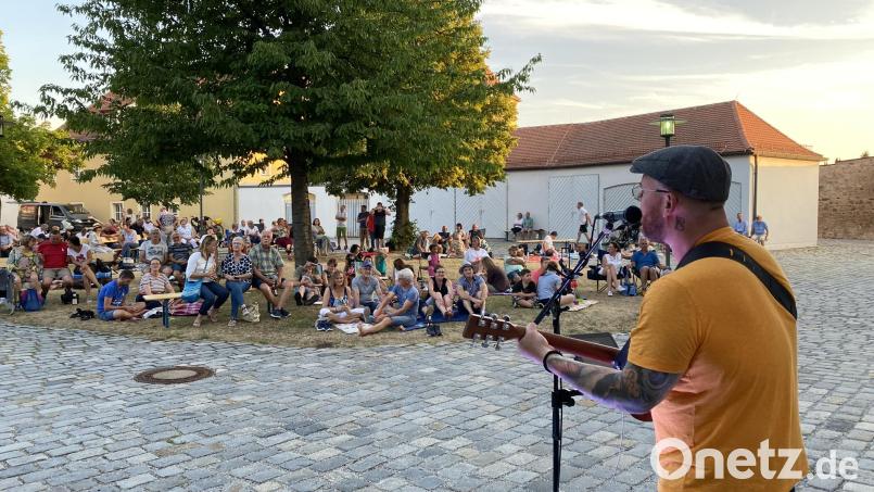 Die Sommerpicknicks im Schlosshof, dem Garten des Amtes für Breitband, Digitales und Vermessung, sind seit ein paar Jahren ein fester Bestandteil des Kulturprogramms der Stadt Nabburg. Archivbild: aub