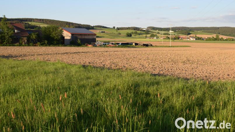 In Dietstätt wird die erste PV-Freiflächennalge in der Gemeinde Schwarzach errichtet. Die Anlage schließt sich unmittelbar an bestehende Gebäude an. Bild: bnr