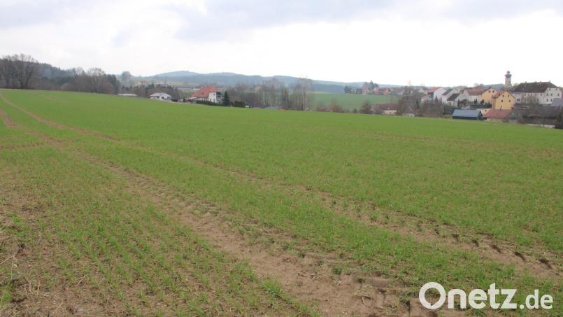 Potenzielle Häuslebauer müssen sich noch gedulden. Bis im Baugebiet &quot;Schloßleite&quot; (Bild) Grundstücke reserviert werden können, dauert es nun nach Aussage der Verwaltung doch noch ein paar Monate. Archivbild: prh