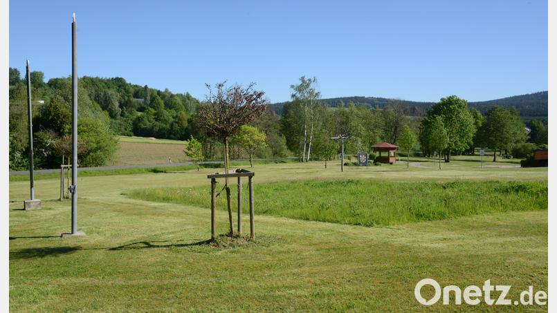 Am Tag nach der Stadtratssitzung gehörte die viel gerühmte Blühwiese fast vollständig der Vergangenheit an. Im vorderen Bildbereich soll die Hainbuchenhecke gepflanzt werden. Ein barrierefreier Weg soll durch die Wiese führen. Nahe des Bereiches Gamlitz soll ein großes Weinfass aufgestellt und ein Weinstock gepflanzt werden. Bild: bey