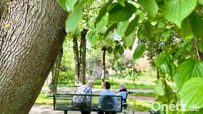 Bei hohen Temperaturen empfiehlt die Stadt, sich tagsüber in schattigen Bereichen aufzuhalten. Zum Beispiel unter Bäumen wie hier im Max-Reger-Park. Bild: Gabi Schönberger