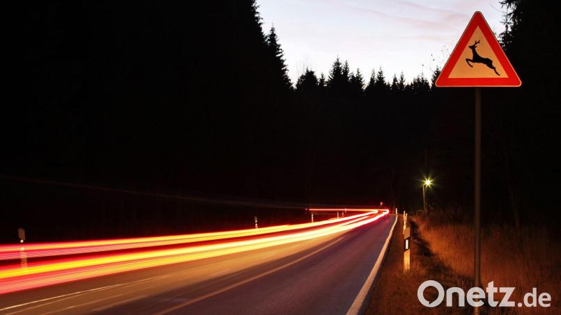 Ein Verkehrsschild warnt vor Wildwechsel an einer Landstraße. Symbolbild: Jan Woitas/dpa-Zentralbild/dpa/Archiv