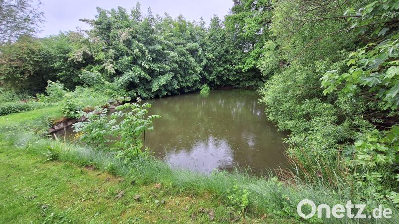 Einer der beiden kleinen Weiher; um deren Wasserqualität sich die Einwendungsführer Sorgen machen. Bild: bey