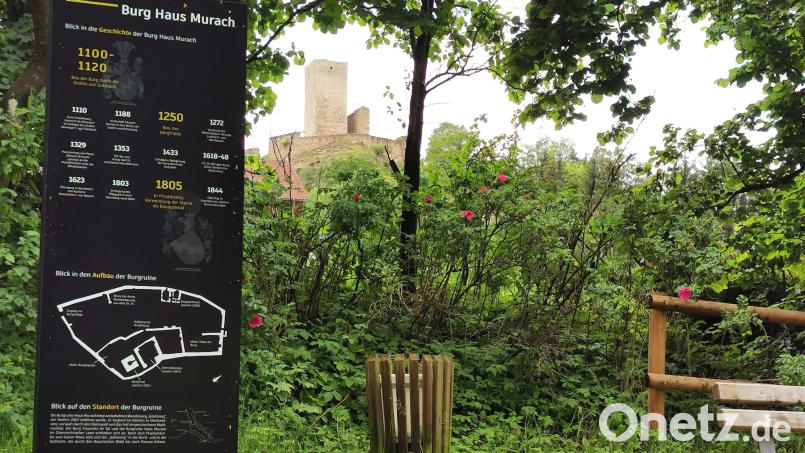 Unterhalb der Burg „Haus Murach“ hat die Stadt Oberviechtach zusammen mit dem Staatlichen Bauamt eine Geschichtstafel installiert. Bild: Portner