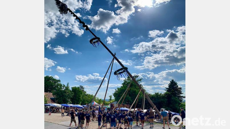 Das Baumaufstellen gehört auch heuer wieder zum Programm der Miesberg-Kirwa in Schwarzenfeld. Archivbild: Tobias Reitmeier/exb