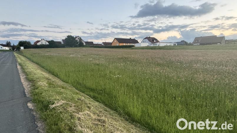 Am nördlichen Ortsrand von Ammerthal schließt sich das geplante Neubaugebiet &quot;Bei der Ziegelhütte&quot; an. Bild: ge