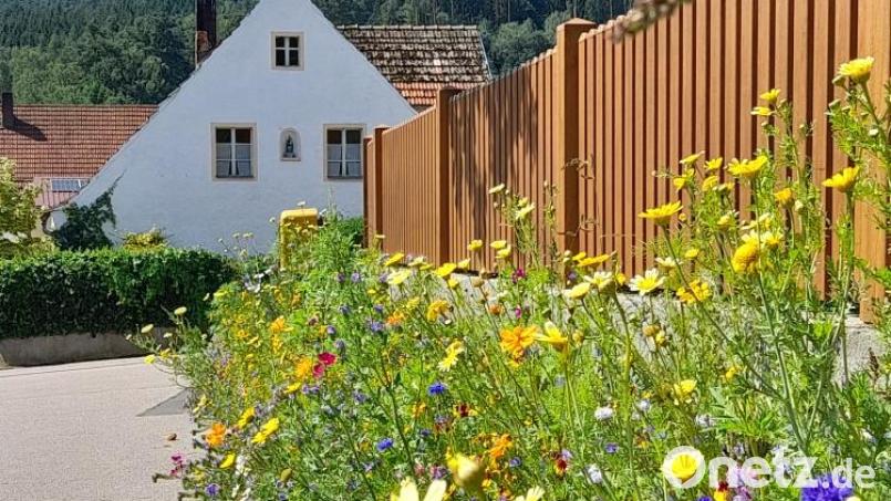 Ein Werk der Gartler: Die neu angelegte Blühfläche in Oberauerbach. Bild: Markus Kurz/exb