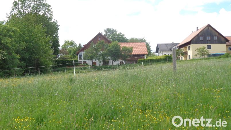 Östlich der Wohnbausiedlung „Eschenweg“ sollen die Mehrfamilienhäuser gebaut werden. Der Marktrat beschloss, die Abstandsflächen zu vergrößern. Bild: amö
