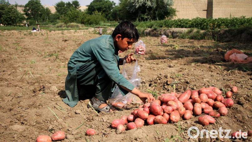 Ziel des EU-Lieferkettengesetzes ist es, Menschenrechte weltweit zu stärken. Bild: Saifurahman Safi/Xinhua/dpa