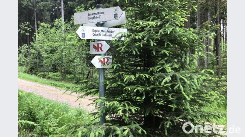 Das Quellgebiet &quot;Steinernes Brünnerl&quot; liegt landschaftlich reizvoll im Naturpark Steinwald bzw. westlich von Fuchsmühl. Und in unmittelbarer Nähe befindet sich ein Kneipp-Tretbecken. Bild: wro