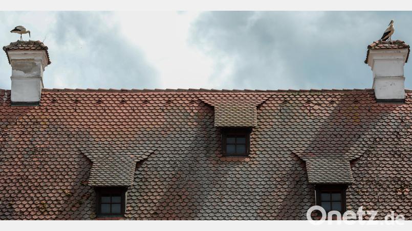 Zwei Störche haben es sich am Montag auf dem Gebäude der Stadtbau am Eichenforstplatz gemütlich gemacht. Bild: Wolfgang Steinbacher
