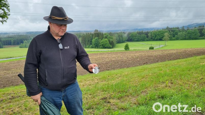 Es ist nur ein kleines Stück Metall, ein Dosendeckel. Doch Milchbauer Josef Wittmann aus Wendersreuth findet regelmäßig Müll an seiner Pachtfläche (im Hintergrund), die direkt an einen Parkplatz an der B 22 bei Wendersreuth grenzt. Im schlimmsten Fall landen die Abfälle im Magen einer seiner Kühe. Bild: jak