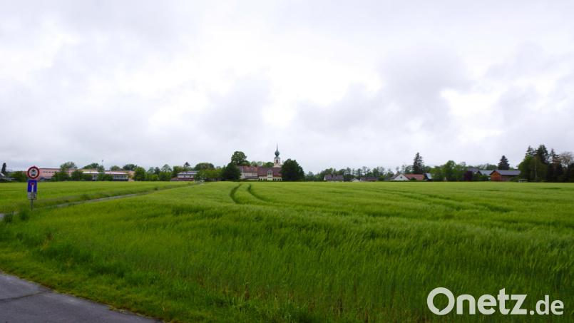 Das große Getreidefeld zwischen der Kirche und der Kulmainer Straße soll Baugebiet für einen Ortskern werden. Das Landratsamt lehnt es wegen der Nähe zu Trassl-Plastik ab. 150 Meter trennen an der nähesten Stelle das gewünschte Baugebiet und die Industrieanlage. Bild: bkr