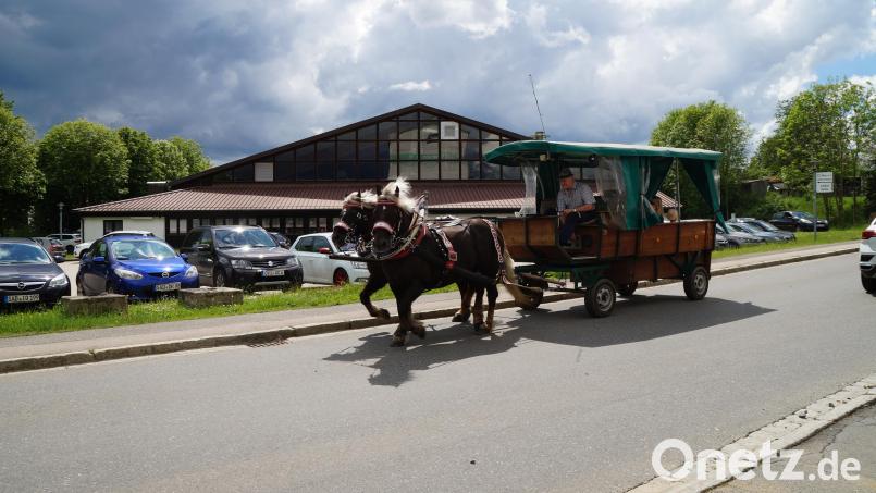Die Kinder hatten beim Kutschenfahren ihre Freude Bild: wel
