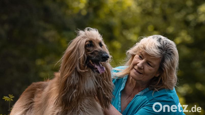 Cornelia Wild, Zweite Vorsitzende des Landesverband Franken/Oberpfalz, mit einem roten afghanischen Windhund. Bild: Kerstin Schneider